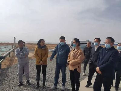 中卫市中级法院院长何莉回访调研环境污染修复治理工作